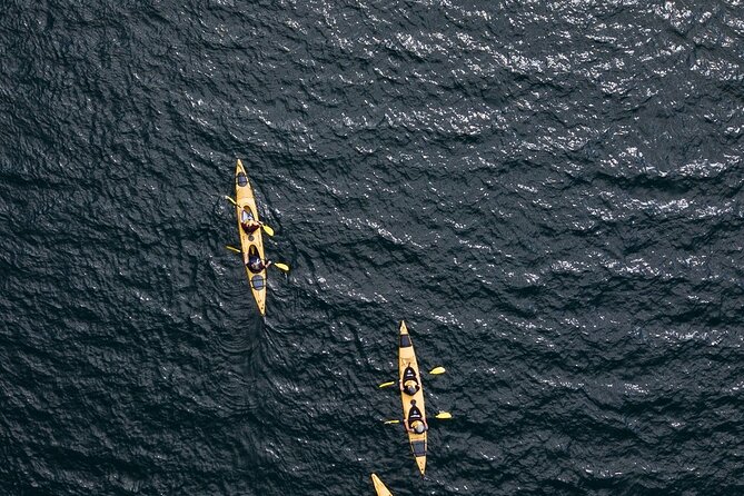 Rotorua: Daytime Scenic Lake Rotoiti Kayak Tour - The paddle back and the full time commitment