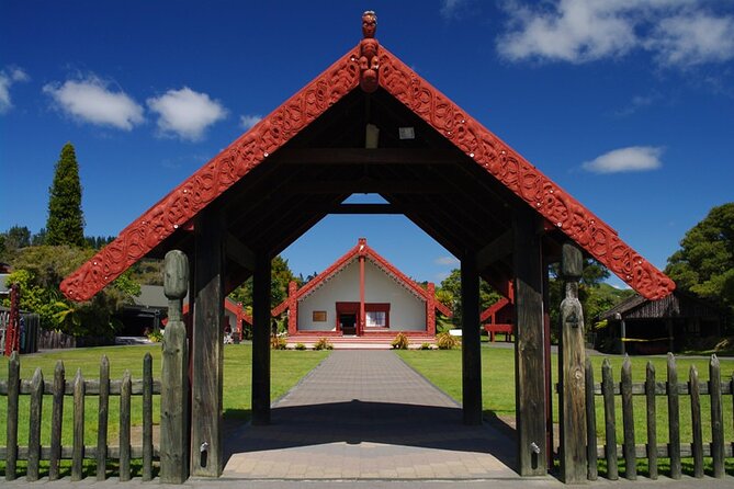 Rotorua Discovery Te Puia Tour - Seeing New Zealand’s native kiwi