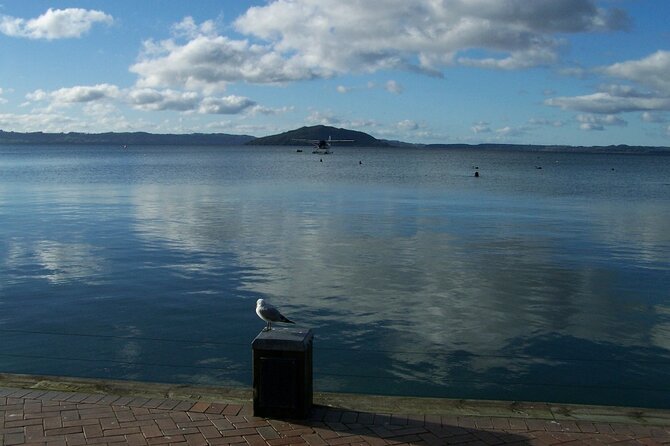 Rotorua Discovery Te Puia Tour - The guides are a major part of the value