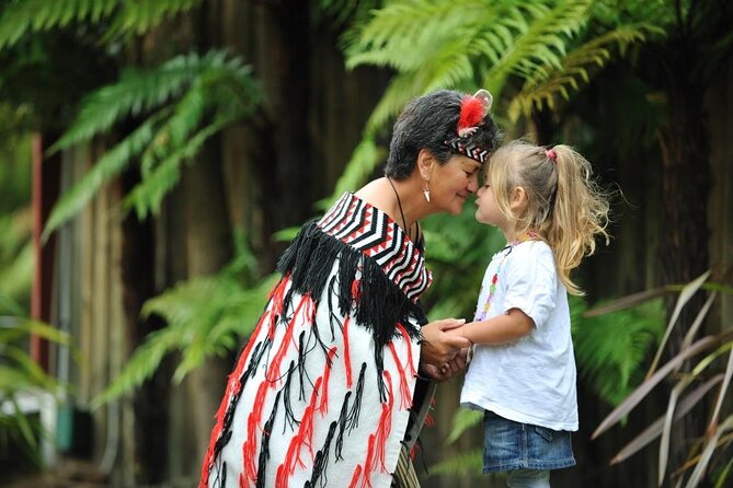 Rotorua Discovery Te Puia Tour - Te Puke and New Zealand’s kiwifruit country