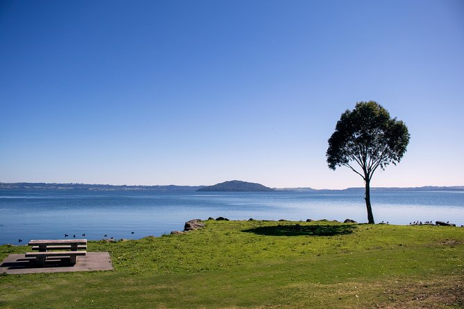 Rotorua Duck Boat Guided City and Lakes Tour - Lake Okareka and the View Toward Mount Tarawera
