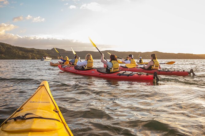 Rotorua: Evening Starlight Gourmet Kayak Tour Glowworms - Key Points At A Glance