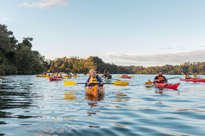 Rotorua: Evening Starlight Gourmet Kayak Tour Glowworms - Entering The Glowworm Cave After Dark