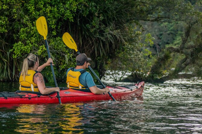 Rotorua: Evening Starlight Gourmet Kayak Tour Glowworms - The Night Paddle And A Late Finish