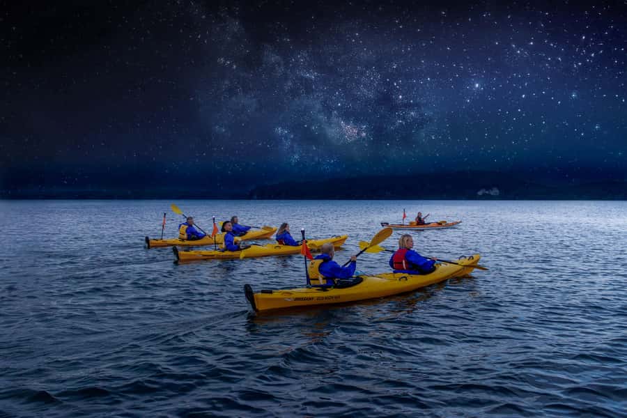 Rotorua: Evening Starlight Gourmet Kayak Tour with dinner - Key points to know before booking