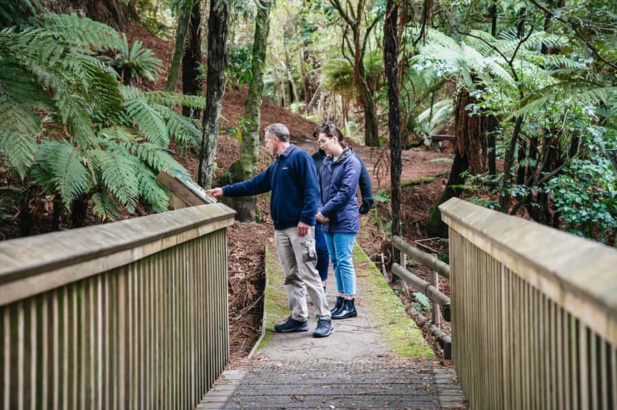 Rotorua: Explore The Lakes Half-Day Morning Tour - Practical tips for a better morning
