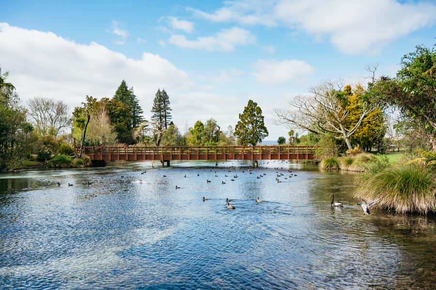 Rotorua: Explore The Lakes Half-Day Morning Tour - Mount Tarawera and Lake Tarawera on the return