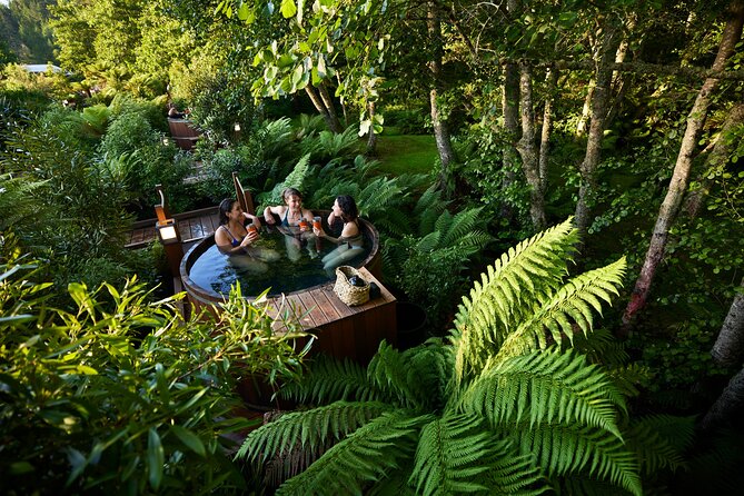 Rotorua Forest Hot Tub Soak at Secret Spot - Cold Plunges Add Some Spark
