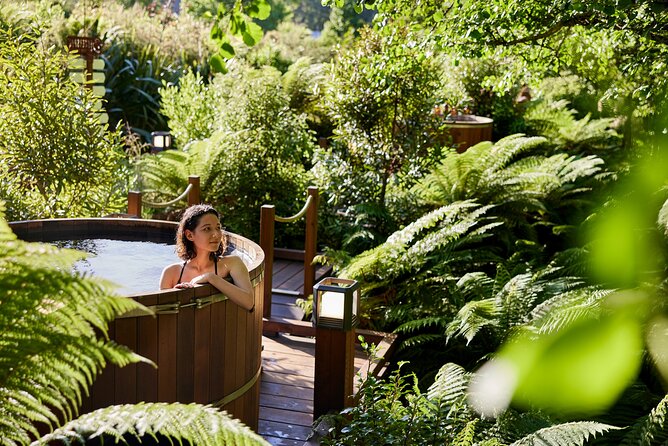 Rotorua Forest Hot Tub Soak at Secret Spot - Is the $27.93 Price Good Value?