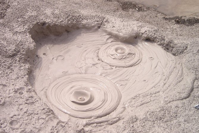 Rotorua Geothermal Wonderland Tour – Departs Tauranga - Māori culture beyond a short performance