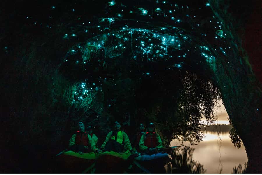 Rotorua: Glow Worm Adventure Kayak - Why this Rotorua night tour feels different