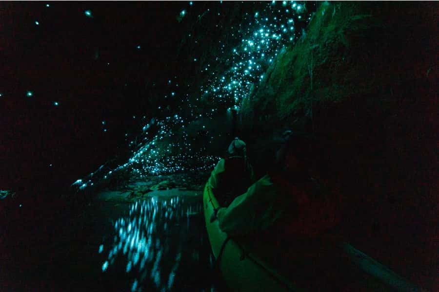 Rotorua: Glow Worm Adventure Kayak - Stars, the Milky Way, and the paddle home