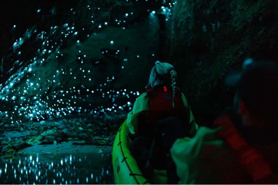 Rotorua: Glow Worm Adventure Kayak - Practical advice for choosing your date