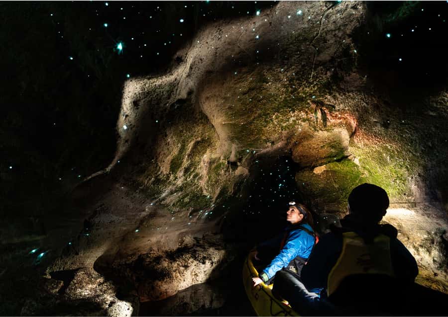 Rotorua: Glow Worm Kayak Tour - The best parts of this Rotorua night adventure
