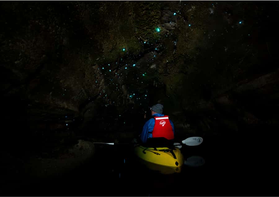 Rotorua: Glow Worm Kayak Tour - Is $116 a fair price?