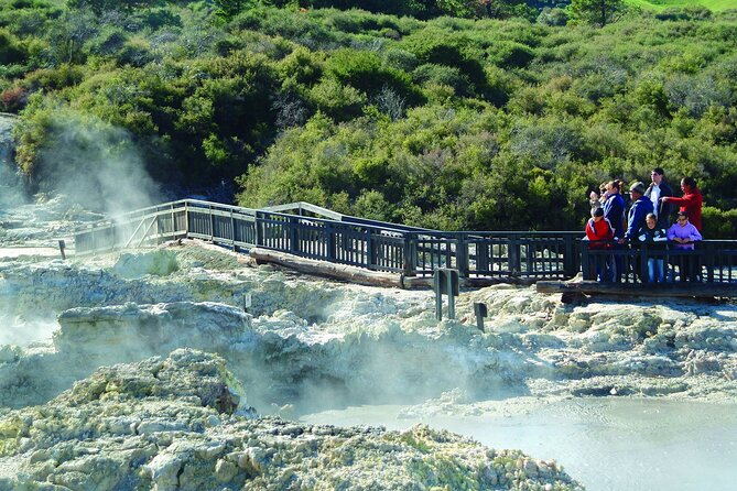 ROTORUA - Hell's Gate Geothermal Park & Mud Spa Day Trip - Is $183.07 good value?