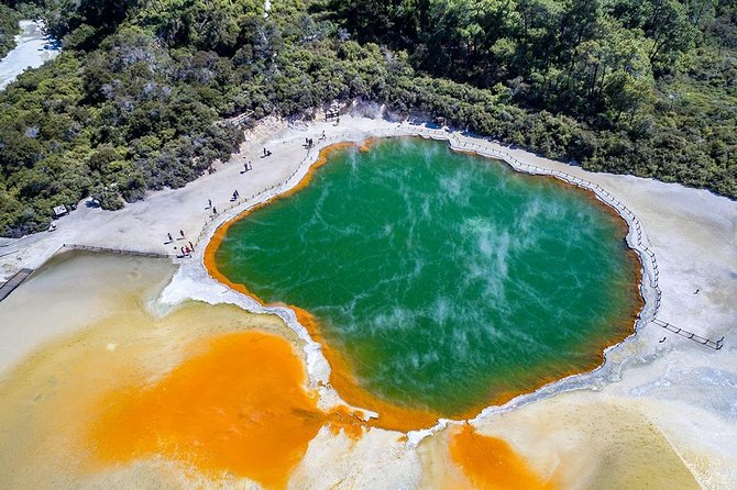 Rotorua Highlights inc. Waiotapu & Te Puia Day Tour from Auckland - Te Puia: Māori arts after lunch