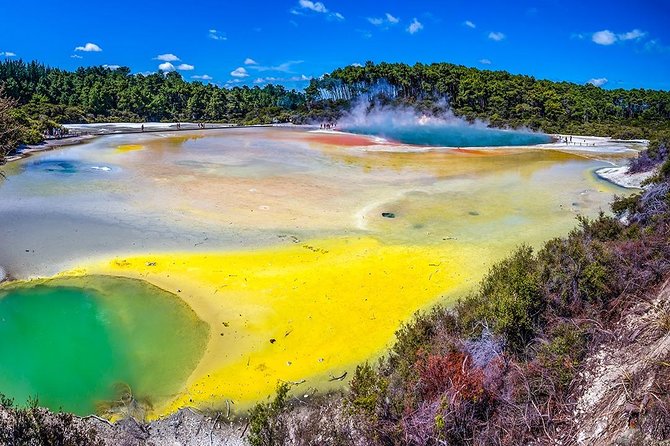 Rotorua Highlights Tour from Auckland with Optional Extras - The 6:30 am start and the road south