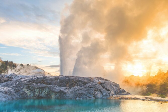 Rotorua Highlights Tour inc. Te Puia Tour, Lunch & Cultural Show - Te Puia brings geothermal Rotorua to life
