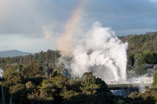 Rotorua Highlights Tour inc. Te Puia Tour, Lunch & Cultural Show - A quick guided look at Rotorua city