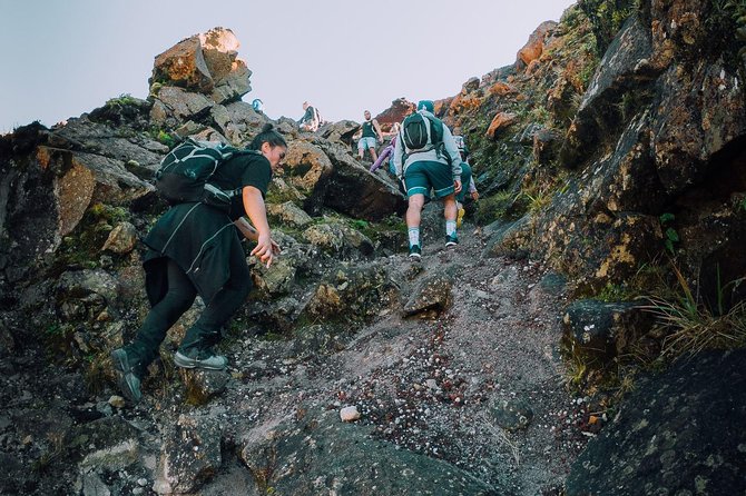 Rotorua Hiking: Mt Tarawera Guided Volcanic Crater Experience - Why Mt Tarawera matters near Rotorua