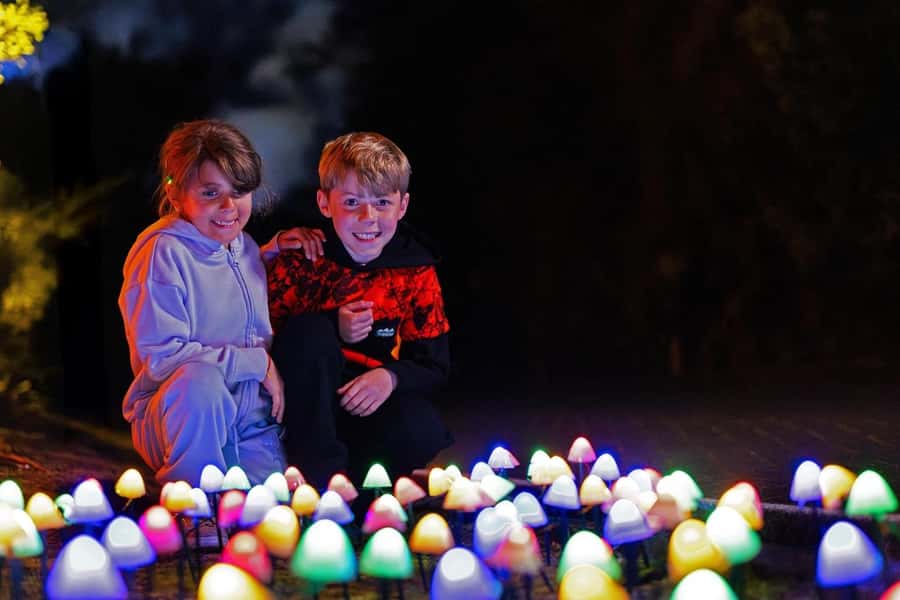 Rotorua: Marama Geyser Light Trail & Geothermal Experience - Who will enjoy Mārama most?