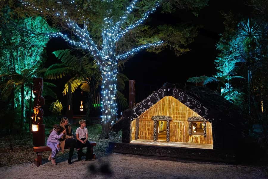 Rotorua: Marama Geyser Light Trail & Geothermal Experience - Is $29 good value in Rotorua?