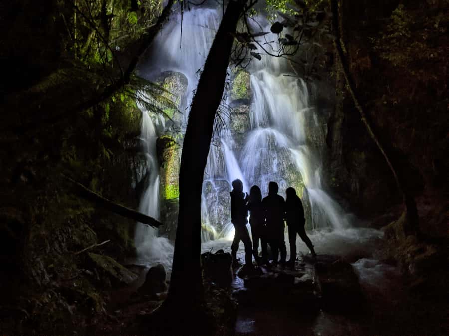 Rotorua: Nocturnal Glow-Worm Adventure Tour with a Guide - Why this Rotorua night walk is different