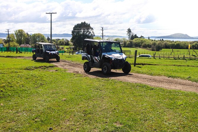 Rotorua Off-Road 4WD Buggy Adventure - Trading Rotorua streets for old forestry trails