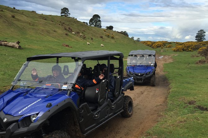 Rotorua Off-Road 4WD Buggy Adventure - Through native bush and silver fern country