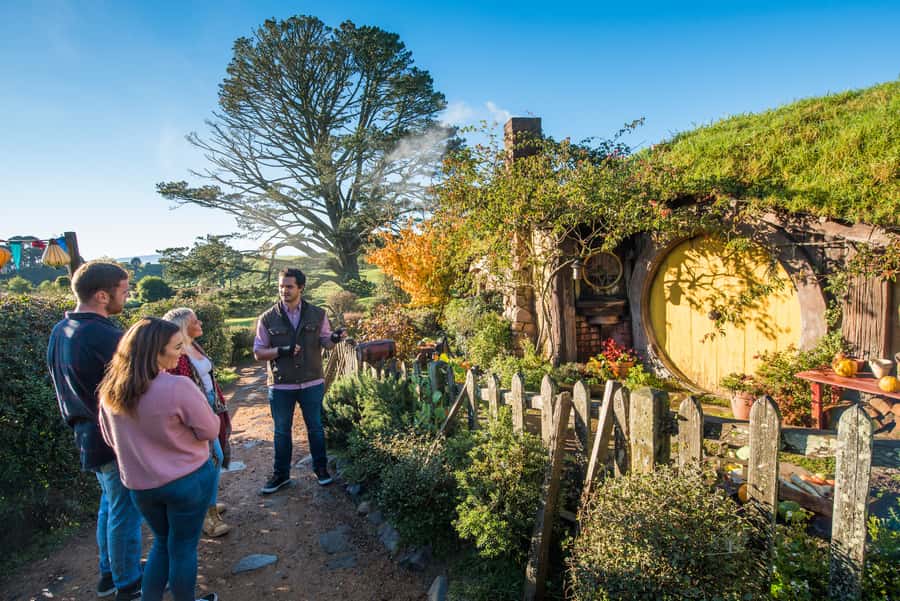 Rotorua: One-Way Trip to Auckland via Hobbiton & Waitomo - Walking through Hobbiton’s 44 Hobbit holes