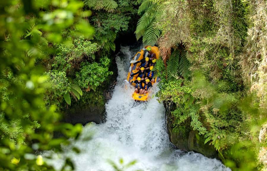 Rotorua Rafting: Kaituna River Rafting Experience-Free Sauna - Swimming, Jumping, and Small Waterfalls