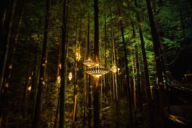Rotorua: Redwoods Adventure 3-Hours - What the $123.49 price really covers