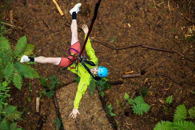 Rotorua: Redwoods Adventure 3-Hours - Why the guides matter on a nervous day