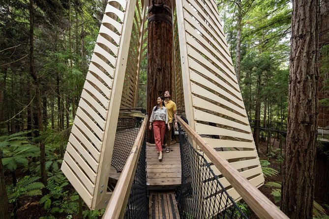 Rotorua: Redwoods Adventure 3-Hours - Redwoods Nightlights and the Fast Pass