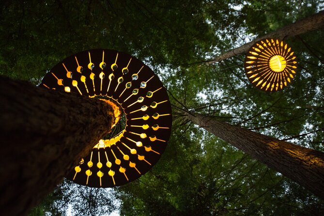 Rotorua: Redwoods Adventure 3-Hours - Redwoods Altitude, two hours above the forest floor