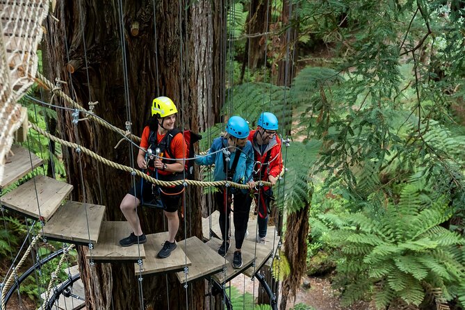 Rotorua: Redwoods Altitude High Ropes Adventure - Zip lines and the optional final descent
