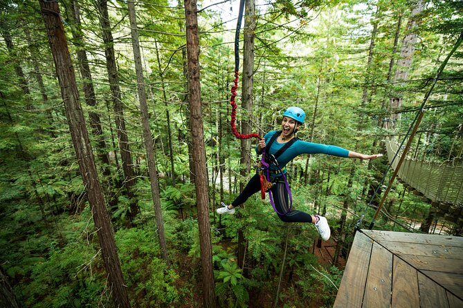 Rotorua: Redwoods Altitude High Ropes Adventure - Getting fitted and learning the safety system