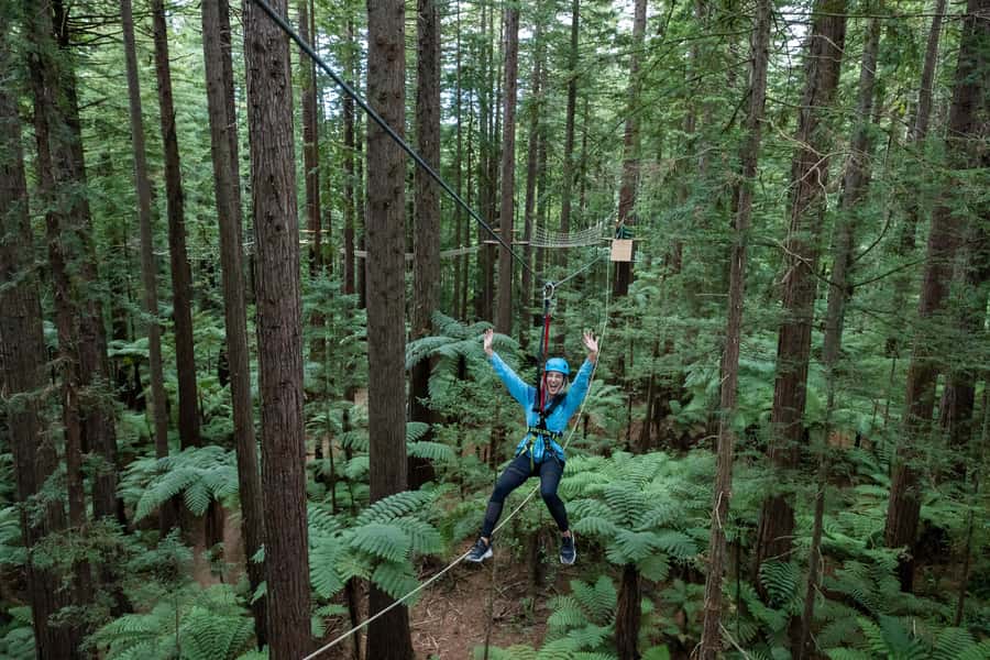 Rotorua: Redwoods Altitude, Nighttime Fast Pass, & Treewalk - Who should book, and who should think twice?