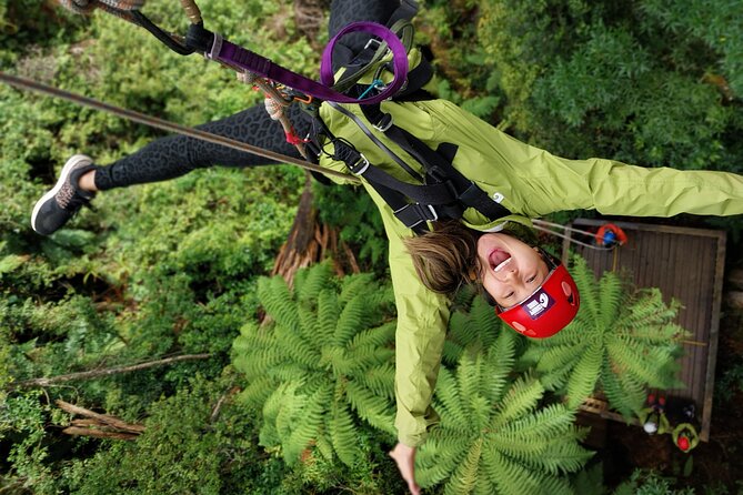 Rotorua’s Ultimate Zipline: 6 ziplines, 400 m Tandem, Cliff Walk - Key things to know before you book