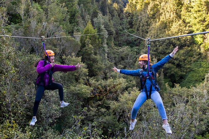 Rotorua’s Ultimate Zipline: 6 ziplines, 400 m Tandem, Cliff Walk - Six ziplines through ancient trees