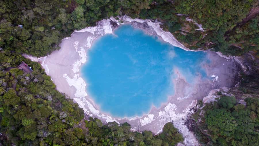 Rotorua: Scenic Flight over Mt Tarawera & Waimangu Valley - What the $236 price really buys you