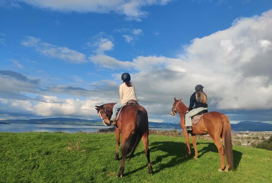 Rotorua: Scenic Horse Trek - Key points at a glance