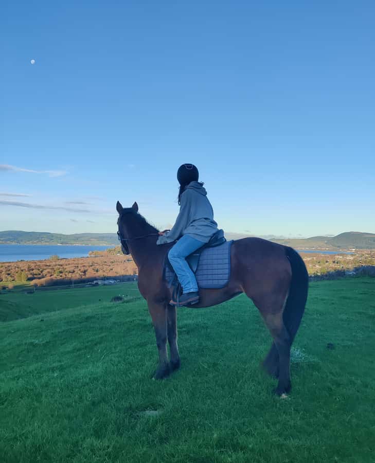 Rotorua: Scenic Horse Trek - Starting at Adventure Playground near Rotorua