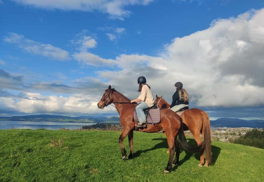 Rotorua: Scenic Horse Trek - Rolling farmland and the foothills of Mt Ngongotaha