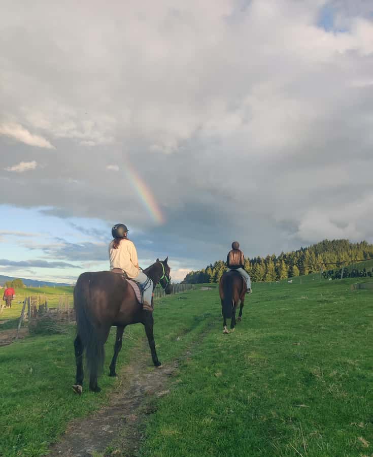 Rotorua: Scenic Horse Trek - The first minutes in the saddle