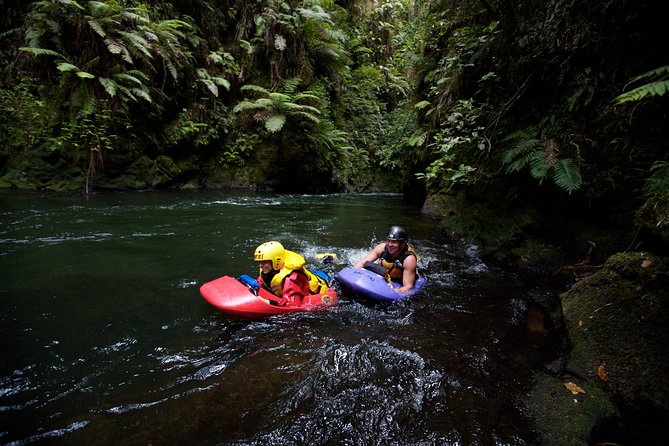 Rotorua Sledging White Water Sledging | Kaitiaki Adventures - Is $86.26 good value?