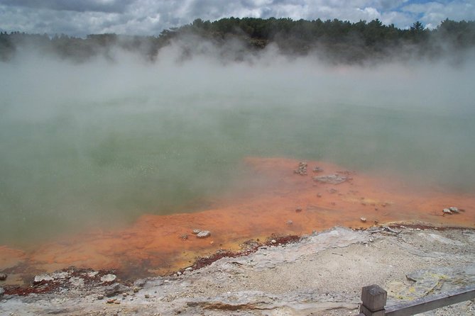 Rotorua Small-Group Day Tour from Auckland - Why this Auckland to Rotorua day trip works