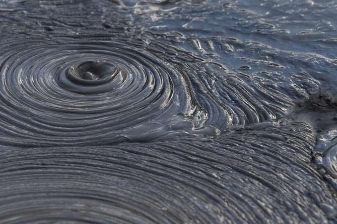 Rotorua Small-Group Day Tour from Auckland - Te Puia connects Māori craft with geothermal power
