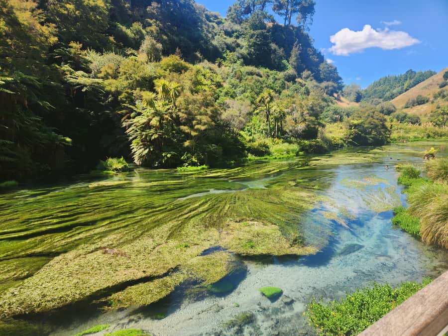 Rotorua & Taupo DayTour Waiotapu & Huka Falls from Auckland - Taupo offers a change of pace beside the lake